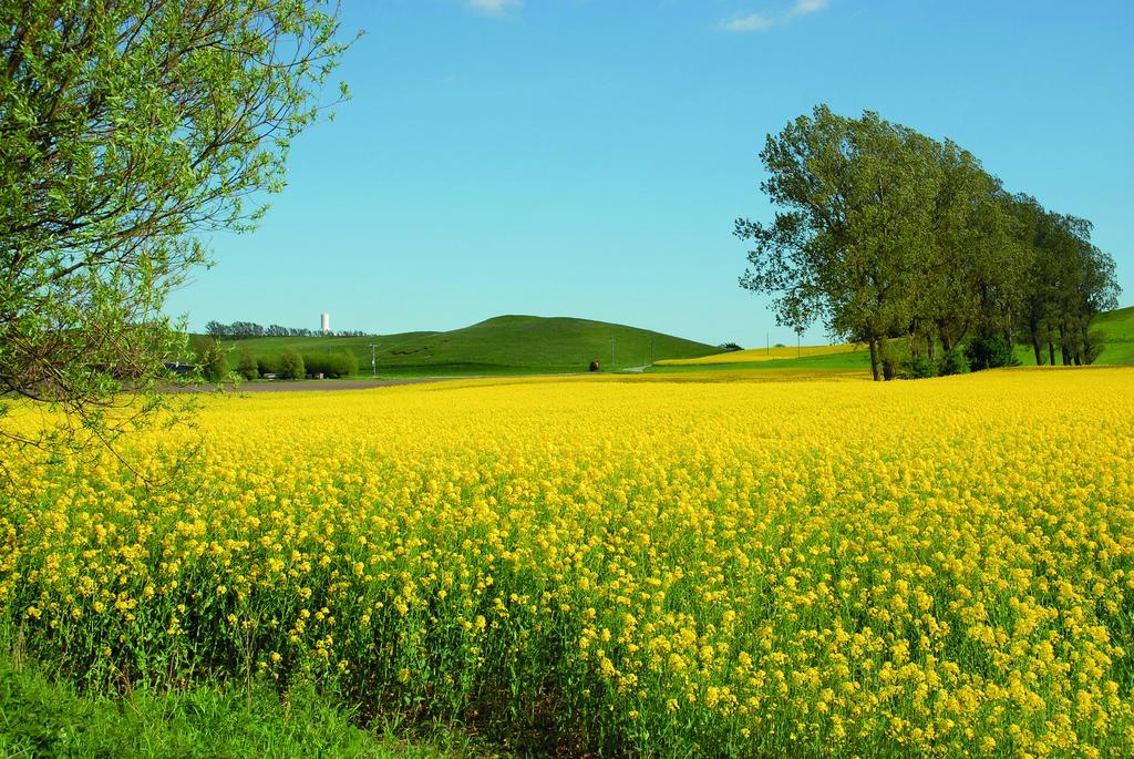 Vallebergaslaett Loderup ภายนอก รูปภาพ
