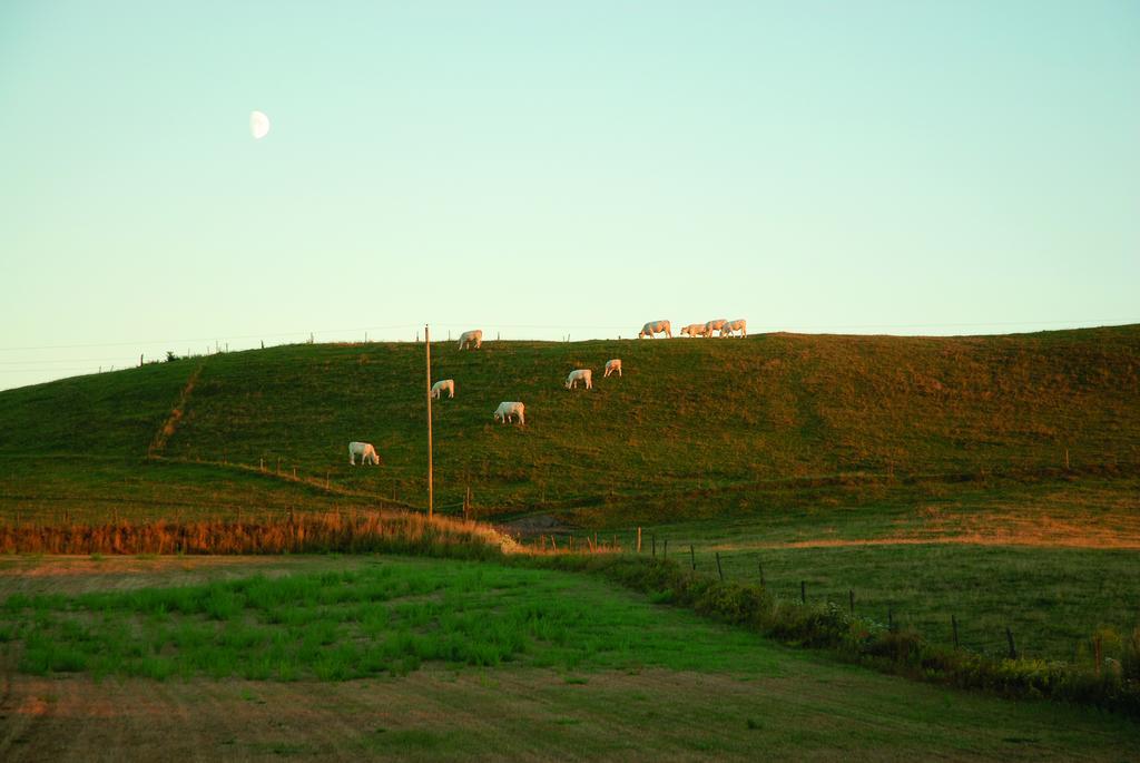 Vallebergaslaett Loderup ภายนอก รูปภาพ
